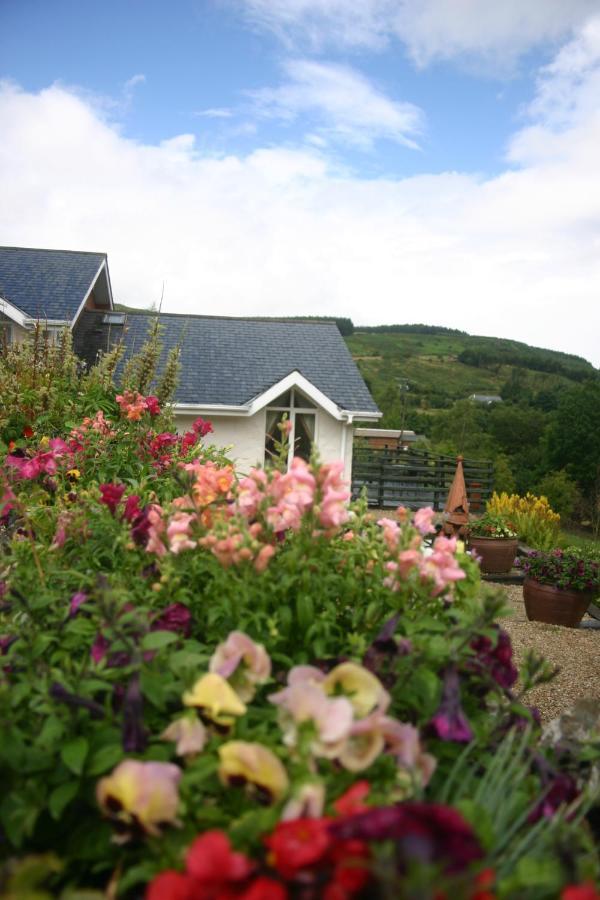 Wicklow Way Lodge Exteriör bild